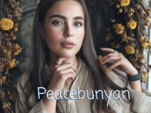 Peacebunyan