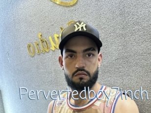 Pervertedboy7inch