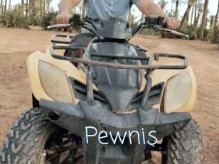 Pewnis