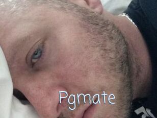 Pgmate