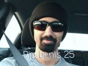 Pig_benis_25