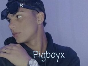 Pigboyx