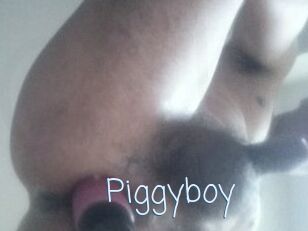 Piggyboy
