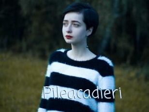 Pileacadieri