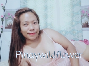 Pinaywildflower