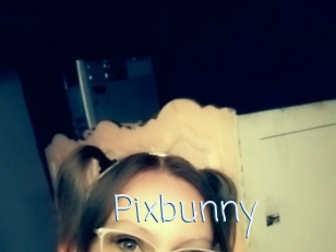 Pixbunny