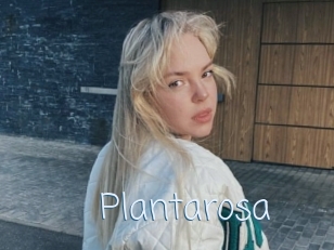Plantarosa