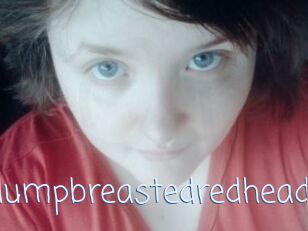 Plumpbreastedredhead