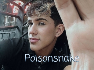 Poisonsnake
