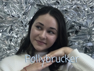 Pollybrucker