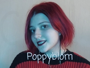 Poppyblom