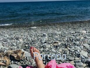 Porcona