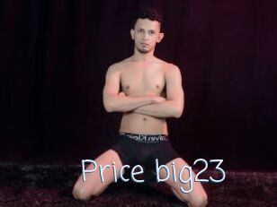 Price_big23