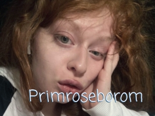 Primroseborom