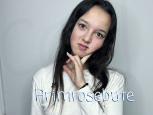 Primrosebute
