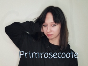 Primrosecoote