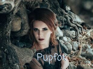 Pupfox