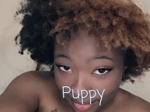 Puppy