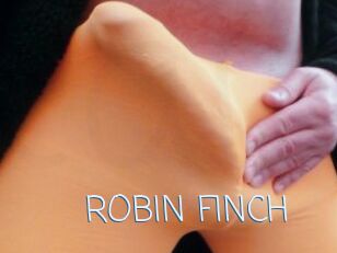 ROBIN_FINCH