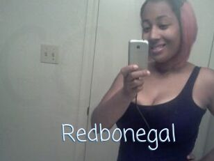 Redbonegal