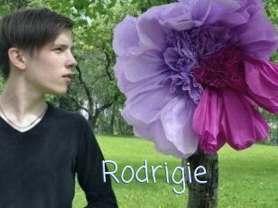 Rodrigie