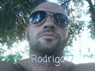 Rodrigo77