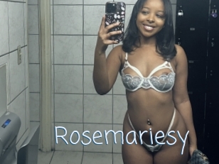 Rosemariesy
