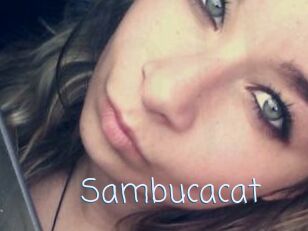 Sambucacat