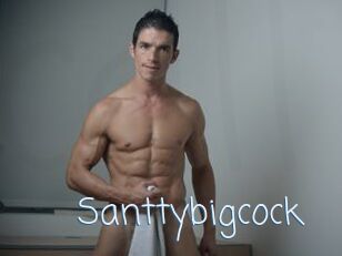 Santtybigcock