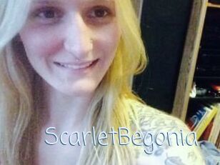 ScarletBegonia