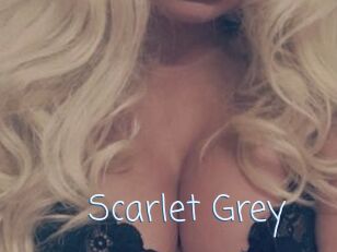 Scarlet_Grey