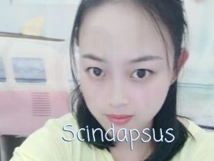 Scindapsus