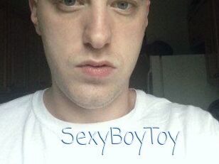 SexyBoyToy