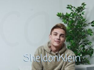 SheldonKlein
