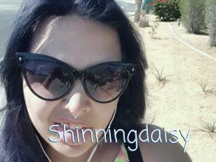 Shinningdaisy