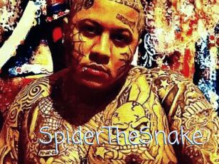 SpiderTheSnake