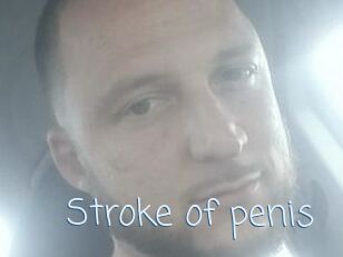 Stroke_of_penis
