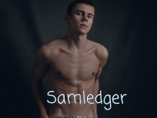 Samledger