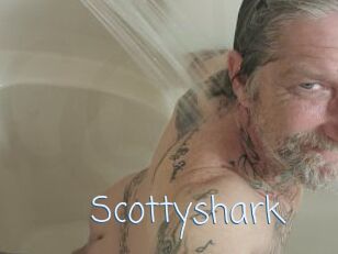 Scottyshark