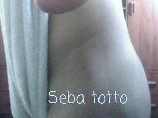 Seba_totto