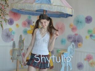 Shytulip