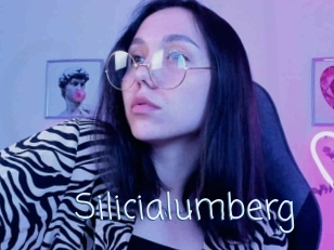 Silicialumberg