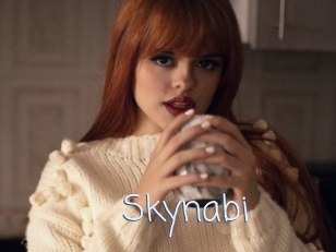 Skynabi