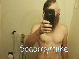 Sodomymike