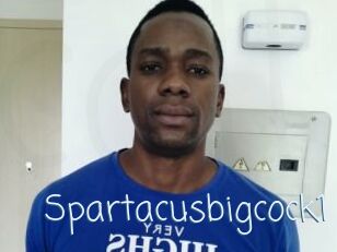 Spartacusbigcock1