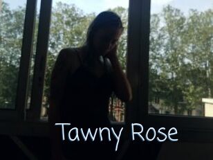 Tawny_Rose