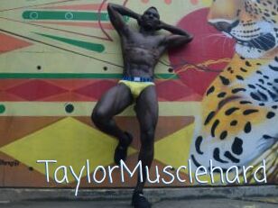 TaylorMusclehard