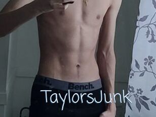 TaylorsJunk