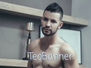 TeoBanner