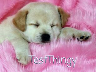 TestThingy